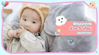 พัฒนาการทารกวัย 5 เดือน การเคลื่อนไหวของทารก พื้นอารมณ์ของเด็ก ประเภทของพื้นอารมณ์ เคล็ดลับเลี้ยงลูก