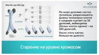 Варвары Веретюк (мед. консультант) о продлении молодости FINITI от 18 10 2016