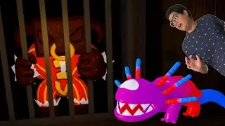 UM TOURO DE CHOCOLATE E UM AXOLOTE DE GELATINA APARECERAM NO TAFFY TAILS! (ROBLOX)