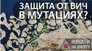 Новая мутация против ВИЧ и «взрослые» церебральные органоиды. Главное на QWERTY №97