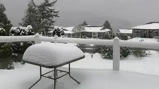 Snow Falling Video