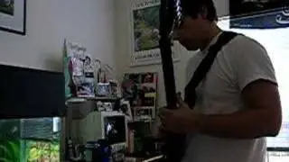 Carvin V3 and DC135