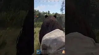 Слепая зона у Кабана #rust #games