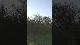 6 мая 2024 г.
