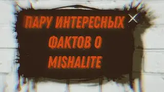 прац интересных фактов о @MishaBrightYT
