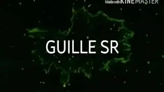 INTRO PARA GUILLE SR -LIKE