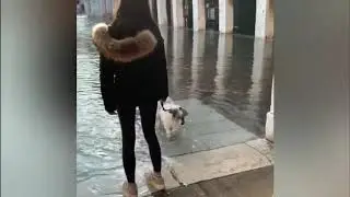 ВЕНЕЦИЮ ЗАТОПИЛО!!!!!!!!! НАВОДНЕНИЕ В ВЕНЕЦИИ!!!!!!!!!! VENICE FLOODING!!!!!!!!