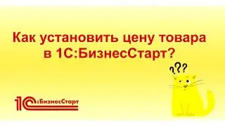 Как установить цену товара в 1С:БизнесСтарт?