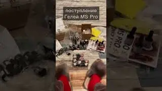 Распаковка посылки с материалами от представителя MS PRO