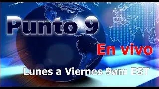 Punto 9 Noticias - Forex del 31 de Octubre 2024