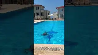 Baba başardım💯#shorts #short #youtubeshorts #youtube