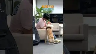 #陳昊森 #貼森日記 𝑬𝑷𝟑 - 與短短的練團日🐶（歌手森宣傳幕後BTS 不定時更新）