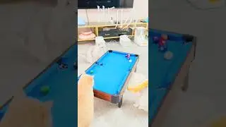Sport cats 🐈 