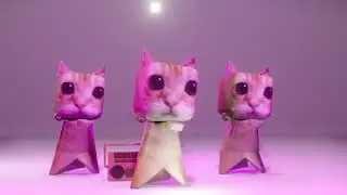 А мне до лампочки - Коты флексят