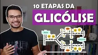 GLICÓLISE [Metabolismo 05]