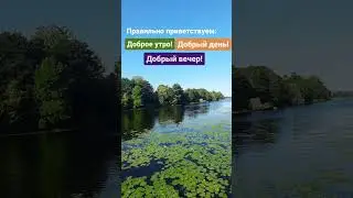 Здороваемся правильно!