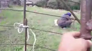 Daskesen Musavaq Kendi Baba Yurdu 2020