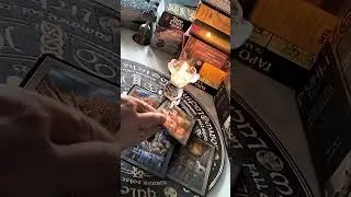 Замужество для Вас-это реально? Спасительница Всея Руси..