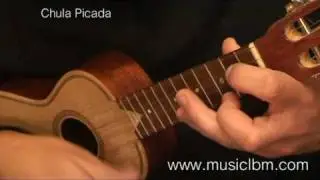 CAVAQUINHO PORTUGUES TEMAS POPULARES - Cordas Soltas  Associação Cultural