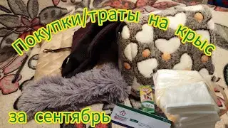 Покупки/траты на крыс за сентябрь #моилюбимки #листиккексикмишутка #крысы #твимз #rats