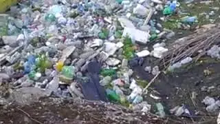 Plastica nel Canalbianco