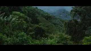 Nespresso - System with milk