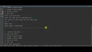 CRUD Operations in Python
