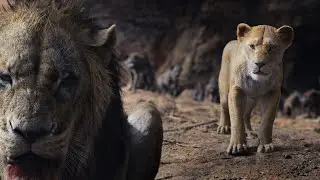 The Lion King 2019 - Scar Rules The Pride Lands I 4K Ultra HD