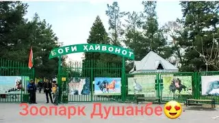 Зоопарк Душанбе😍😍😍