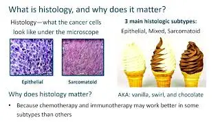 Systemic Therapies for Mesothelioma | International Symposium on Malignant Mesothelioma