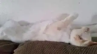 Ready for World Domination!