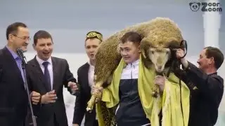 Балтач муниципаль район башлыгы призына үткәрелгән XX татарча көрәш бәйгесе. Финал