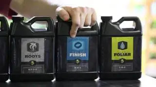 Heavy 16 Nutrient Review