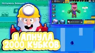 Я апнула 2000 кубков/ и открыла диномайка