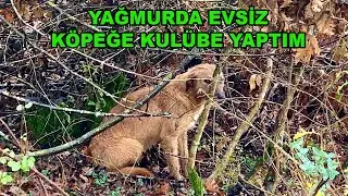 Cemal Açar - YAĞMURDA EVSİZ KÖPEĞE KULÜBE YAPTIM