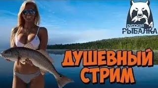 Ловим рыбу и общаемся в рр4, Стрим!