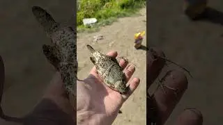 На рыбалке поймал карася на 60 грамм 