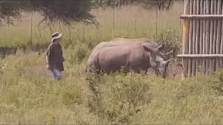 Американская подборка приколы с животными. The American compilation jokes with animals.