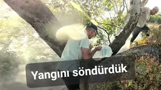 ORMANI YANMAKTAN KURTARDIK! - ERDEK KAPIDAĞ YARIMADASINDA YANGIN