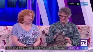 Театр Дождей с котом Федором на передаче Полезное утро  78 канал