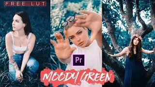 Moody Green Premiere Pro LUT | Free LUT Download | Premiere Pro LUT | Free Moody Green LUT ⚡️⚡️