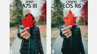 Sony a7S III VS Canon EOS R6 CAMERA  COMPARISON | Sony a7S III