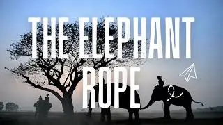 The Elephant Rope