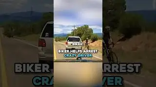Civilian HELPS Cop Arrest CRAZY Driver 😨