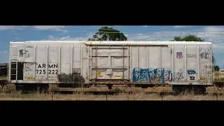 white train