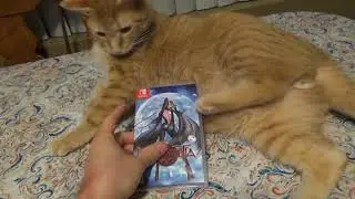 Bayonetta (Nintendo Switch) - Physical Cartridge Unboxing