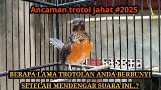 ‼️PANCINGAN TROTOLAN JAHAT PALING CEPAT MERESPON SILAHKAN DICOBA...