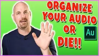 Organize your Audio or DIE in Adobe Premiere Pro!
