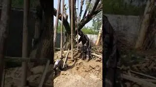 Digging a Water Bore 4