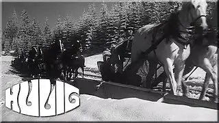 Kulig 1968